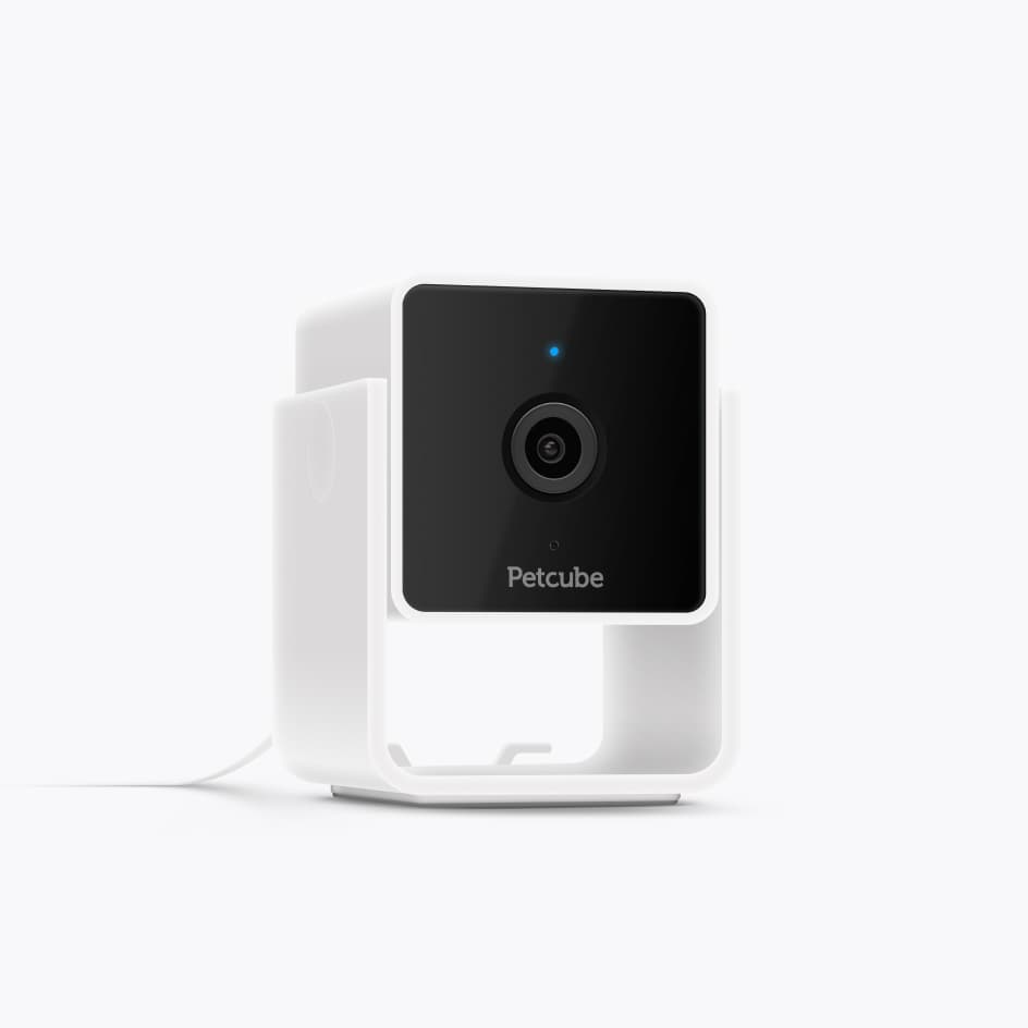 Petcube - Wholesale Small/Handheld Appliance - Petcube Cam0