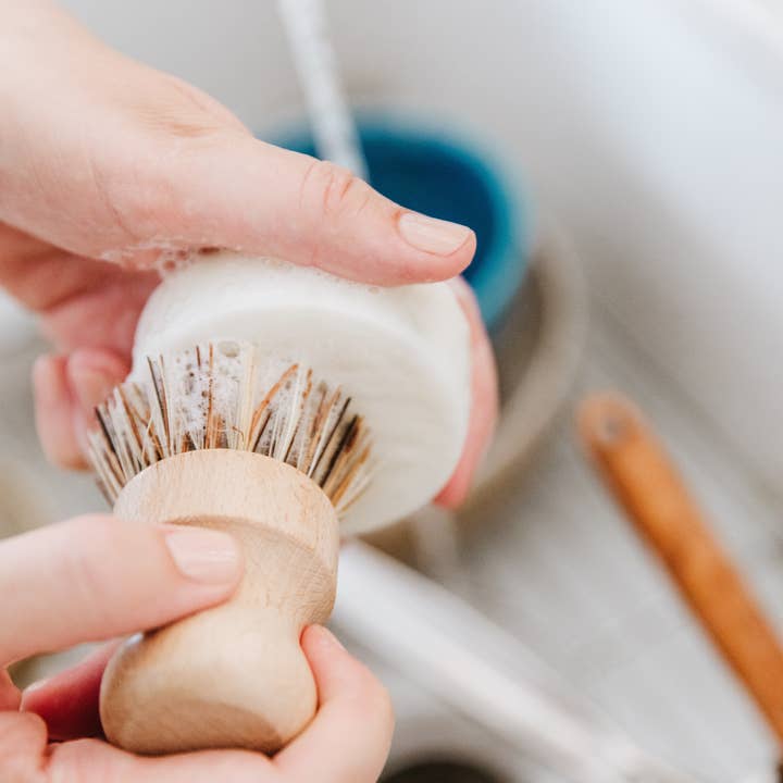 Honeywild Apothecary - Wholesale Bar Soap - Solid Dish Soap3