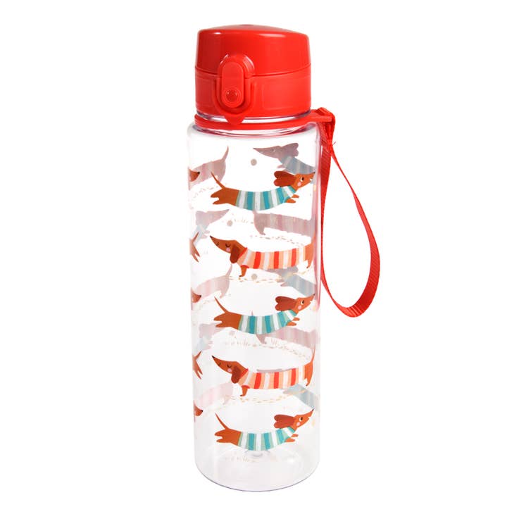 Rex London UK - Wholesale Water Bottle - Drinks bottle with push button lid 700ml - Sausage Dog