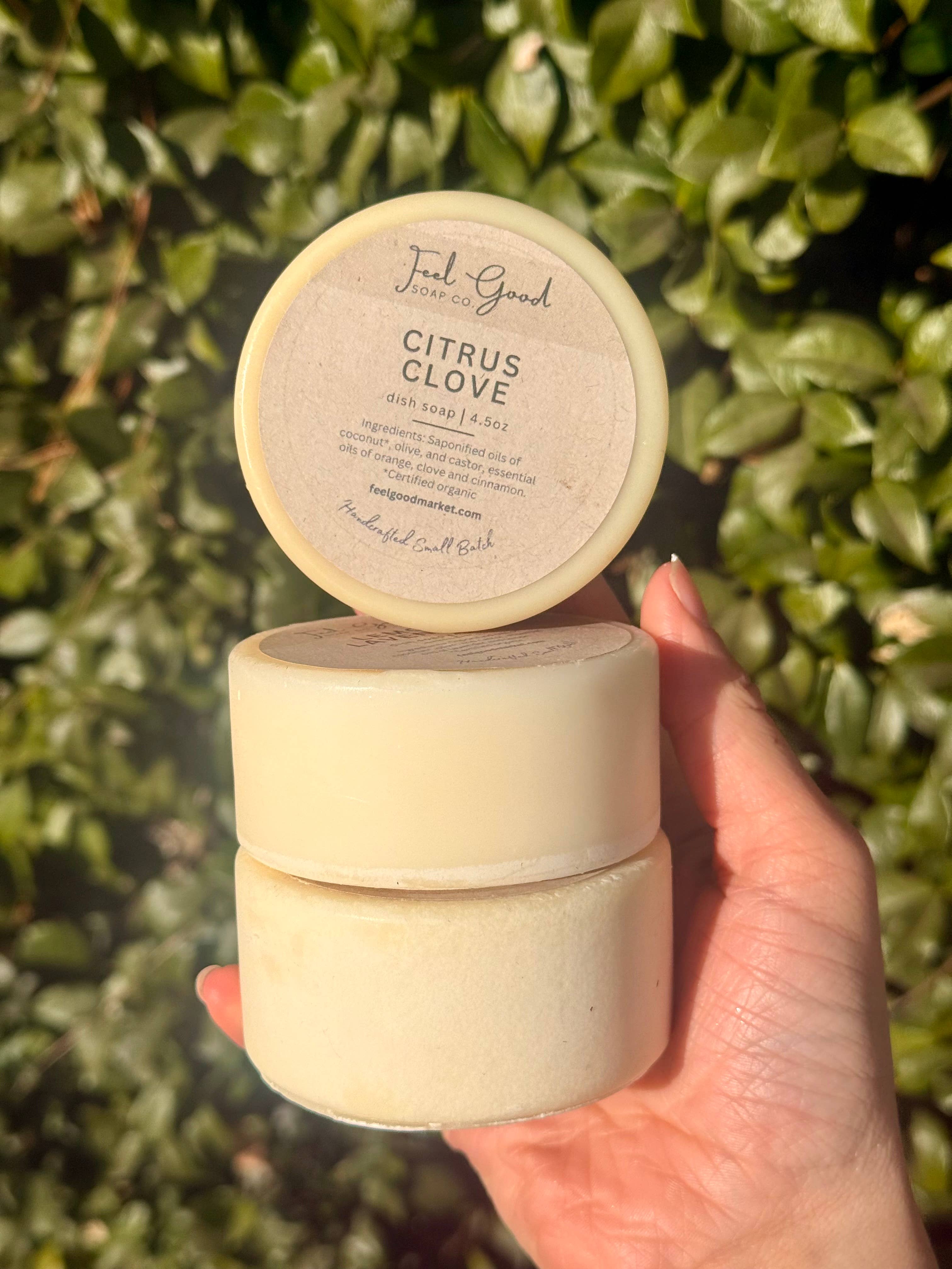 Feel Good Market - Wholesale Dish Soap - Solid Dish Soap Pucks1