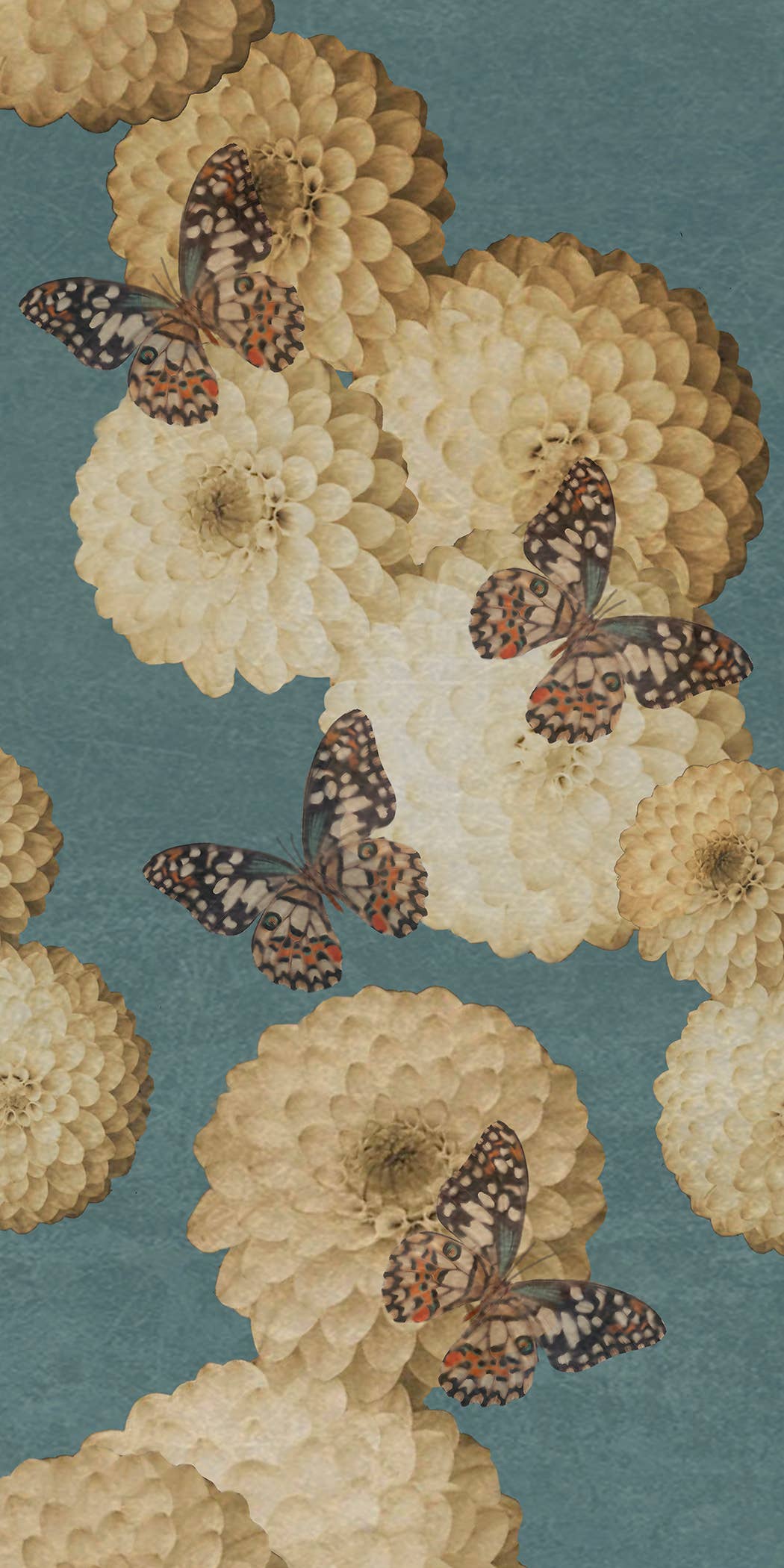Daria Petrilli - Wholesale Wallpaper - WHITE DAHLIA AND BUTTERFLY LIGHT BLUE - WALLPAPER2