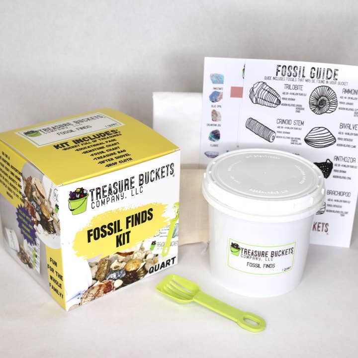 Treasure Buckets Co., LLC - Vente Kit de bricolage – enfant - Fossil Finds Gem Mining Bucket Kit d'une pinte - Gemmes0