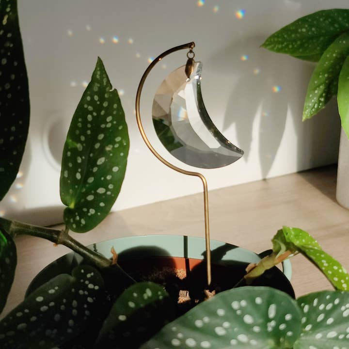 Atelier Intuitive - Wholesale Suncatcher - LUNA • Brass and crystal suncatcher to plant1