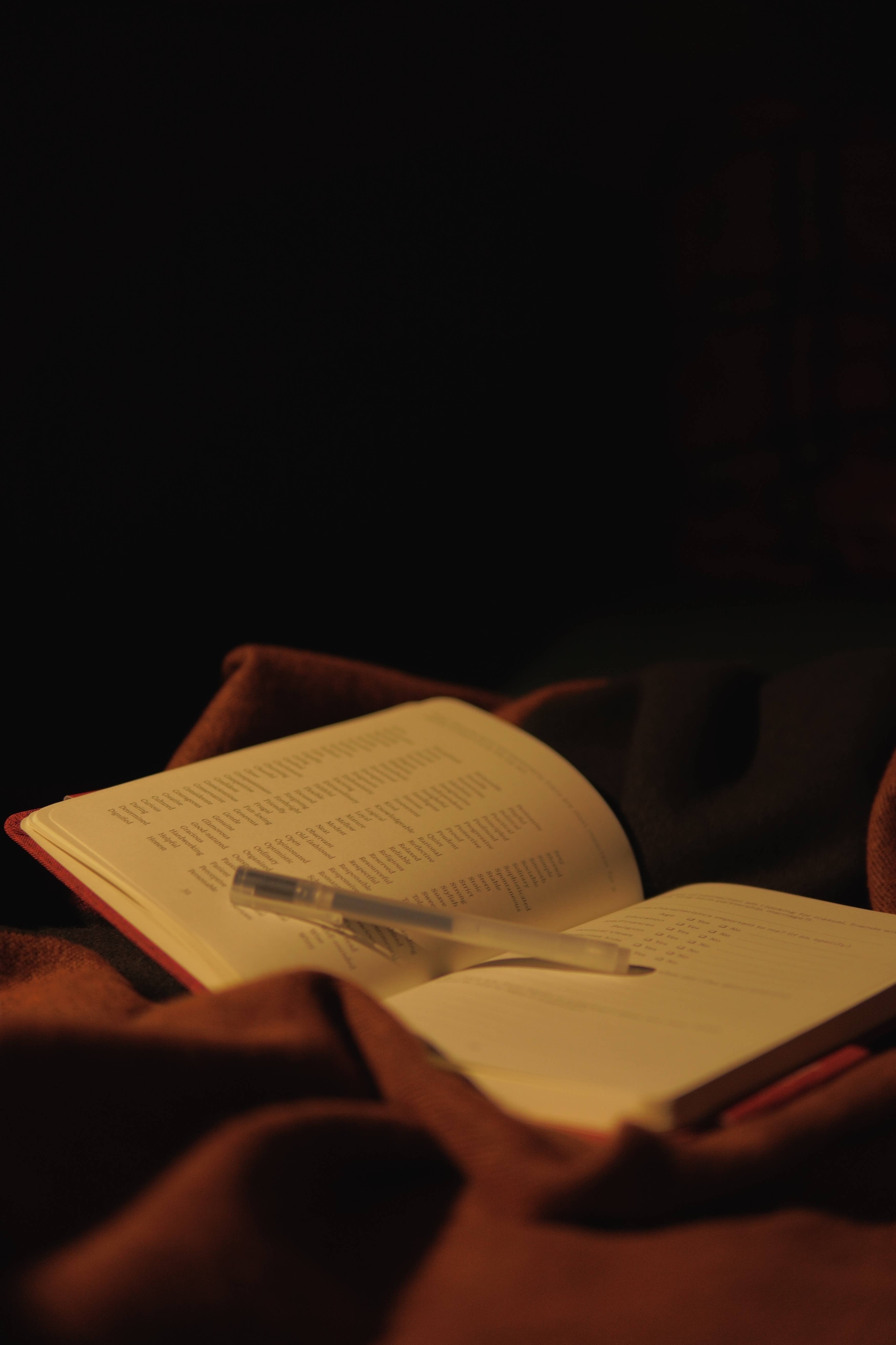 Strategy Journaling Co - Wholesale Journal/Diary - The Date Book Dating Journal1