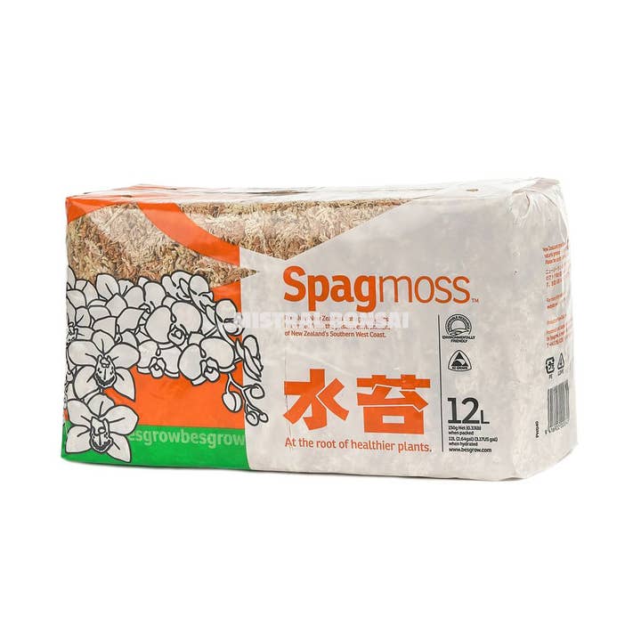 Sphagnum‑Moos Classic 150 g für den Großhandel von MISTRAL BONSAI