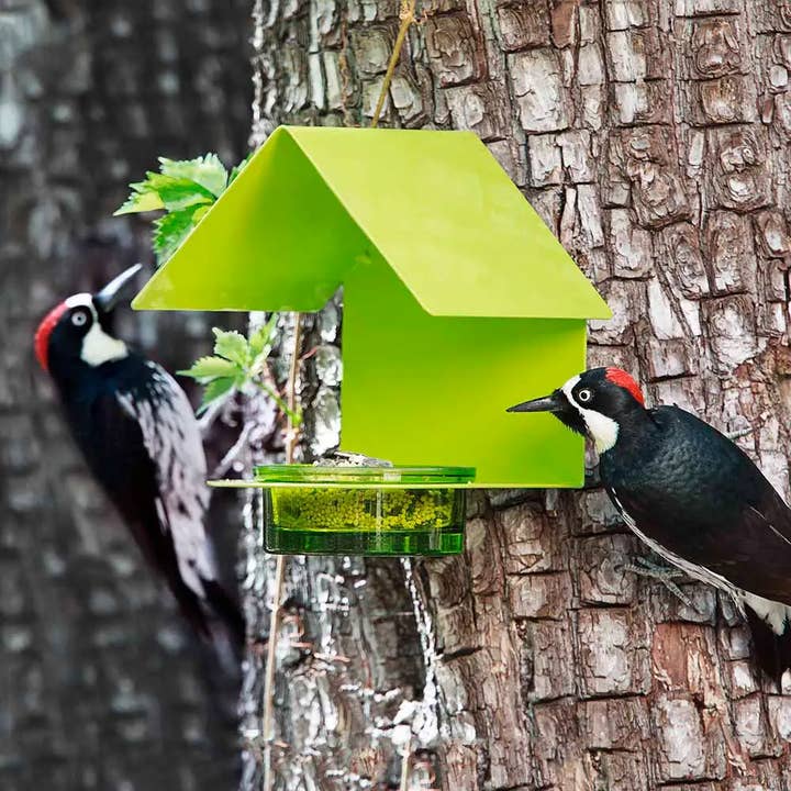 Couronne Co. - Wholesale Bird Feeder - Mosaic Birds Cottage Bird Feeder Lime