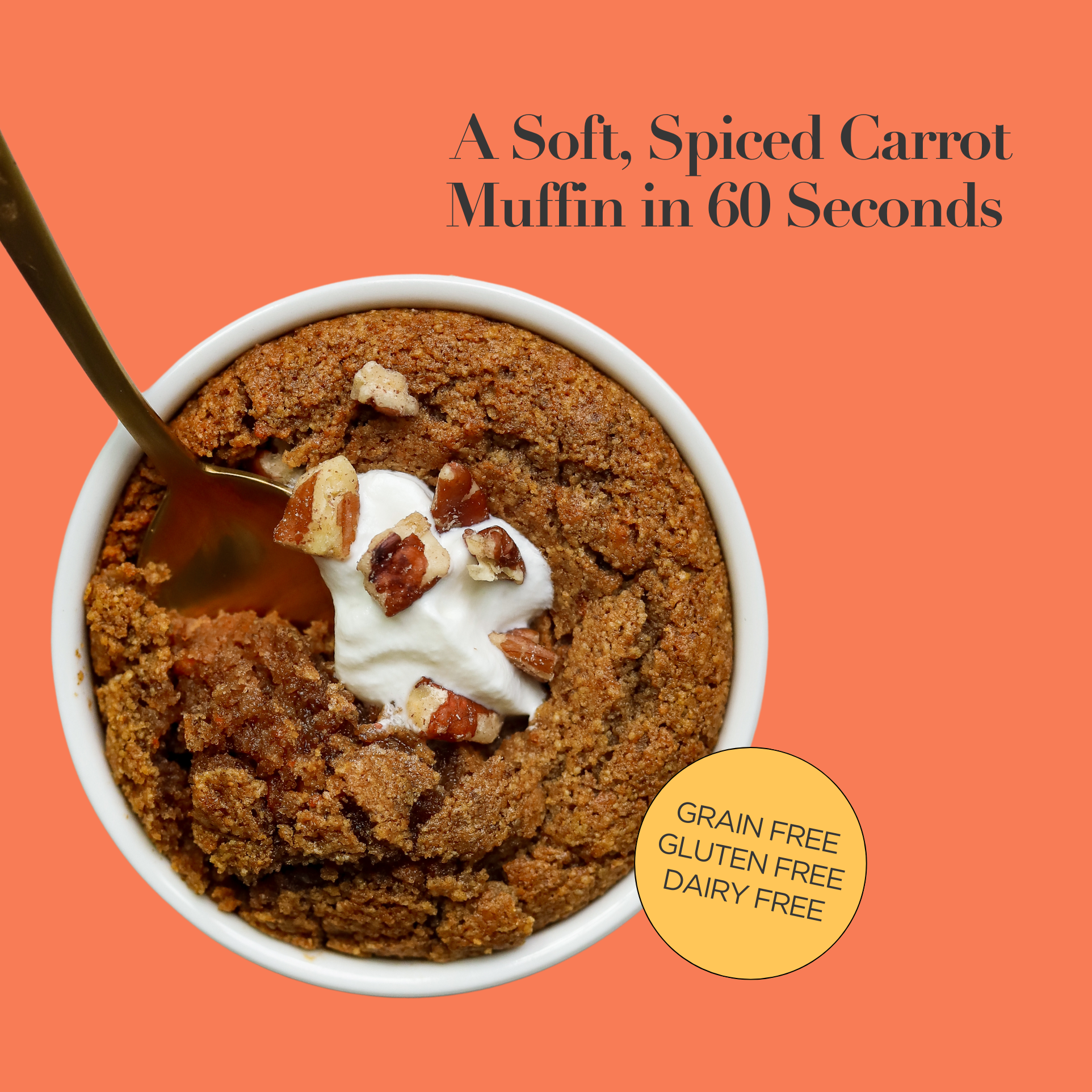 Stellar Eats - Wholesale Cake Mix - Instant Treat: Carrot Cake In A Cup1