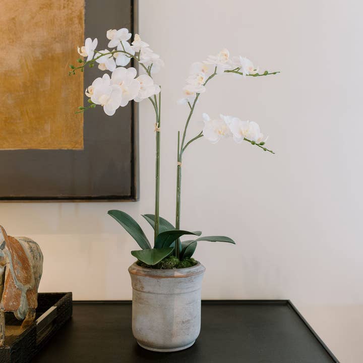 CG Hunter - Wholesale Artificial Flowers - Artificial 2-Stem Phalaenopsis White Orchid