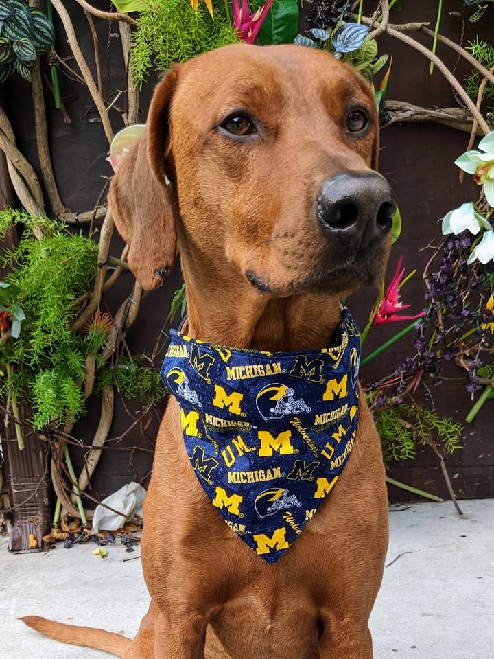 University of Michigan Bandana - College Collection for wholesale by Koa's Ruff Life