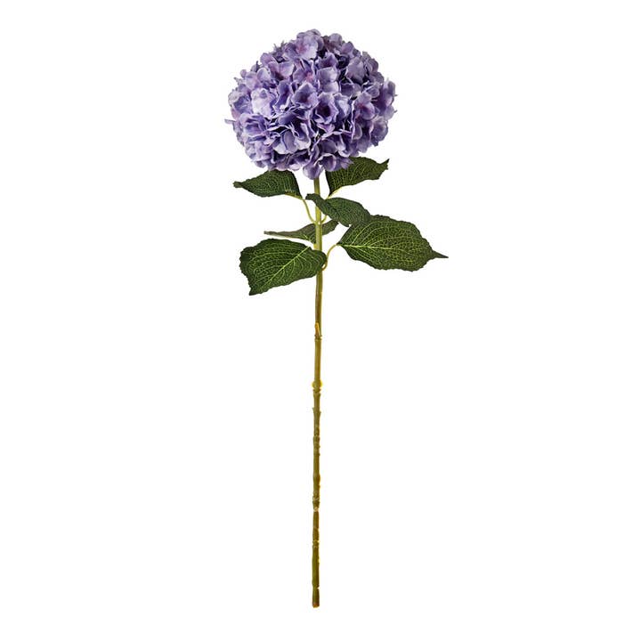 Storhovedet Hortensia Lavendel for engroshandel hos Eleganza Floral