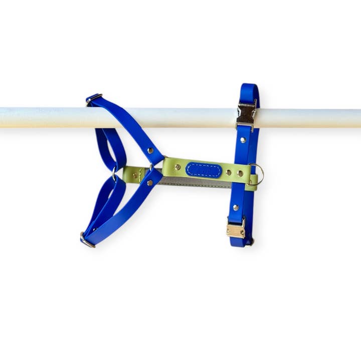 Hypoallergenisk vandtæt sele COSMO - Biothane® for engroshandel hos L&Z Dogwear