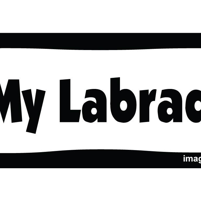 Imagine This Company - Venta al por mayor Imanes - Imán para coche con texto en forma de hueso con texto en texto «I Love My Labradoodle»