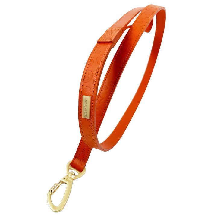 H&R Embossed Dog Leash in Tangerine for wholesale by Hartman & Rose