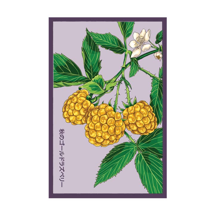 2026 Raspberry Fall Gold Flower Seeds Packet for wholesale by Chive