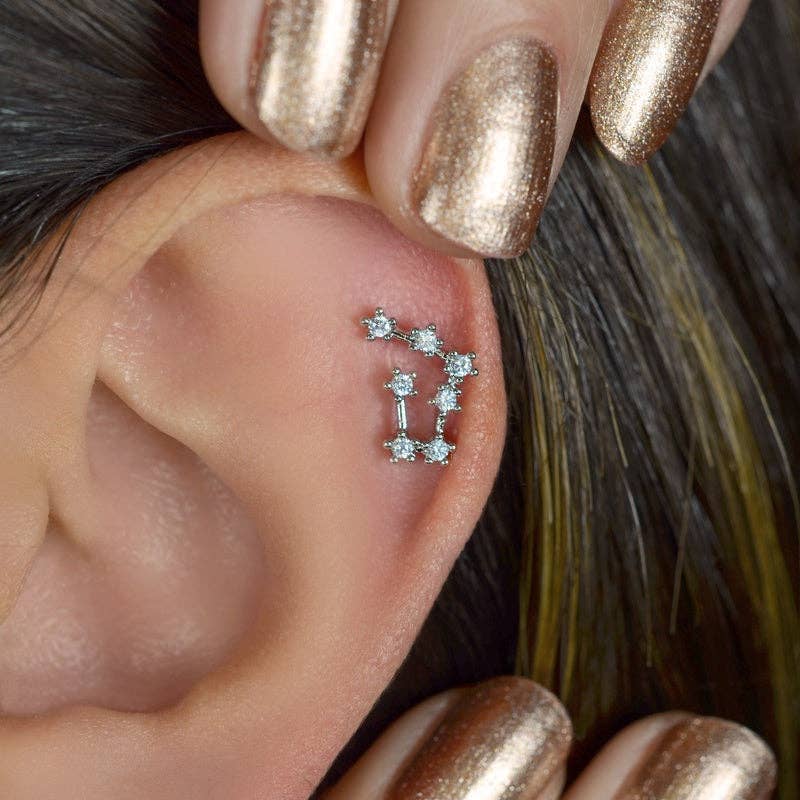 StockJWL - Wholesale Stud/Post Earrings - 12 Zodiac Earrings, Constellation Stud Earring Stud Piercing Tragus Helix Lobe and Cartilage Silver And Gold16