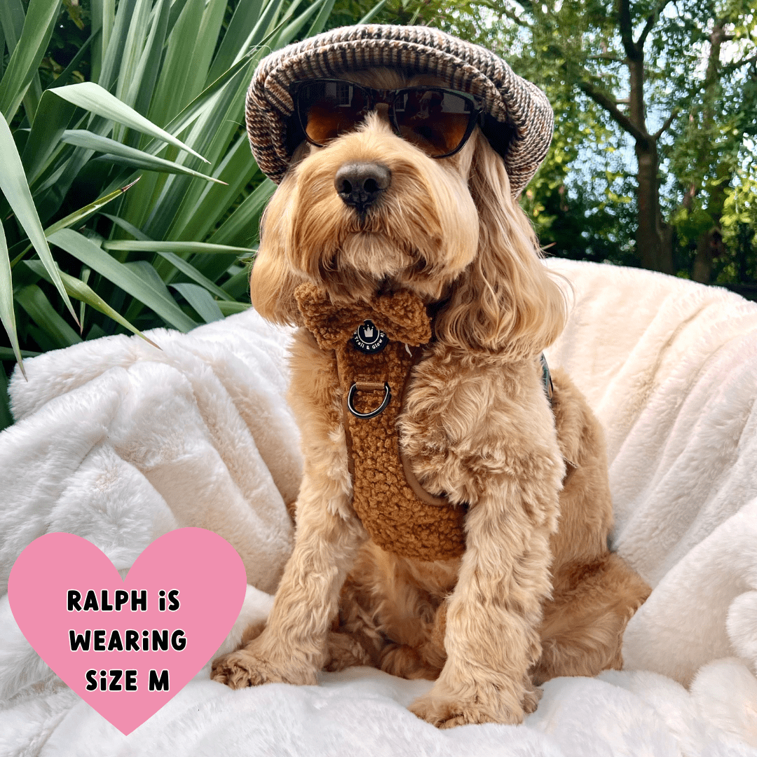 Bailey and Coco - Vente Harnais – chien - Ensemble de harnais pour chien Trail & Glow® - Ours en peluche4