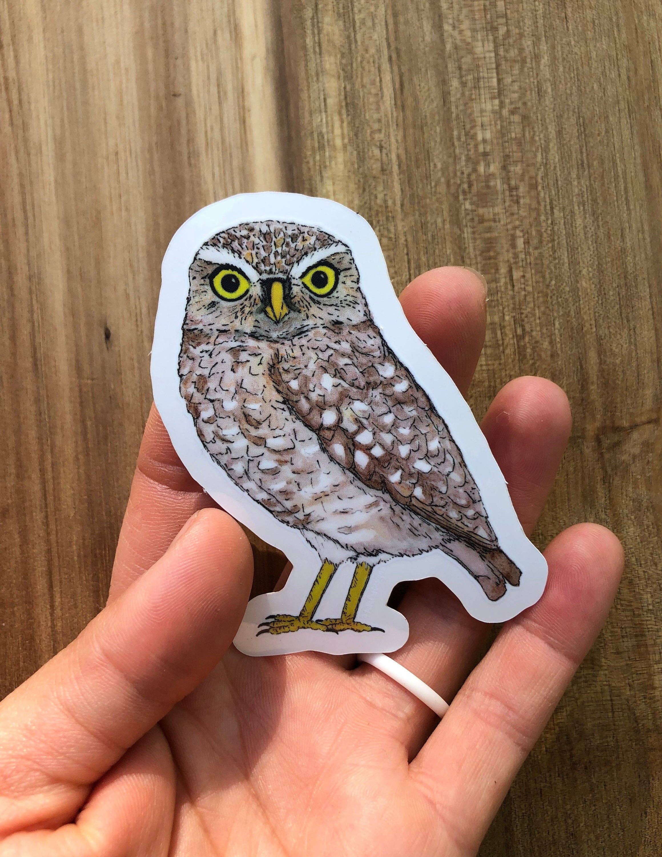 YubaCat Designs - Wholesale Sticker - Burrowing owl sticker1