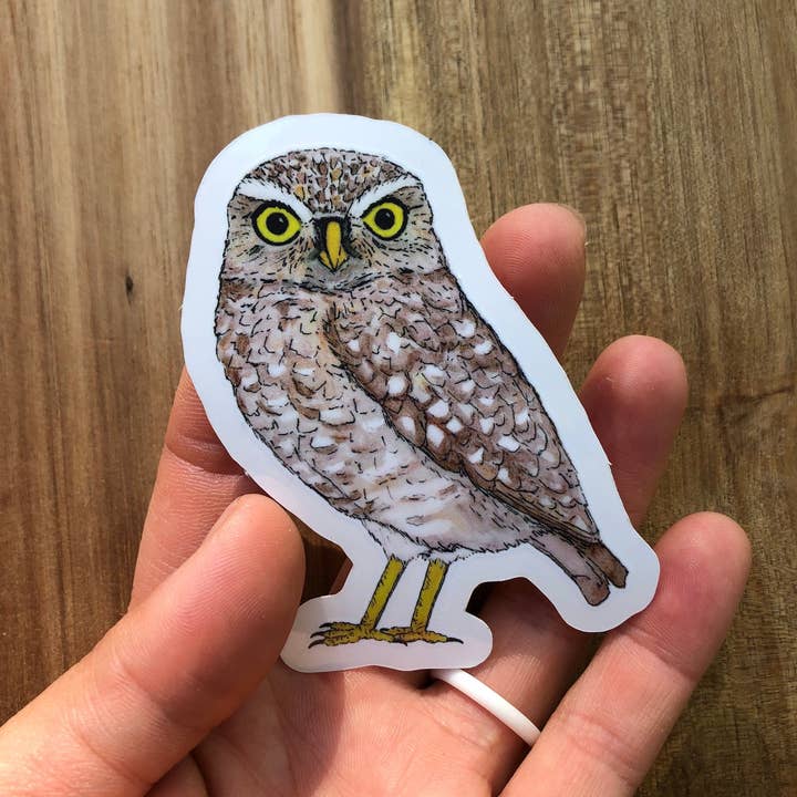 YubaCat Designs - Wholesale Sticker - Burrowing owl sticker1