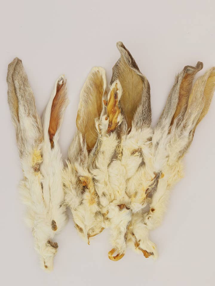 Bulk Rabbit Ears with Fur for wholesale by Scoochie Pet Products