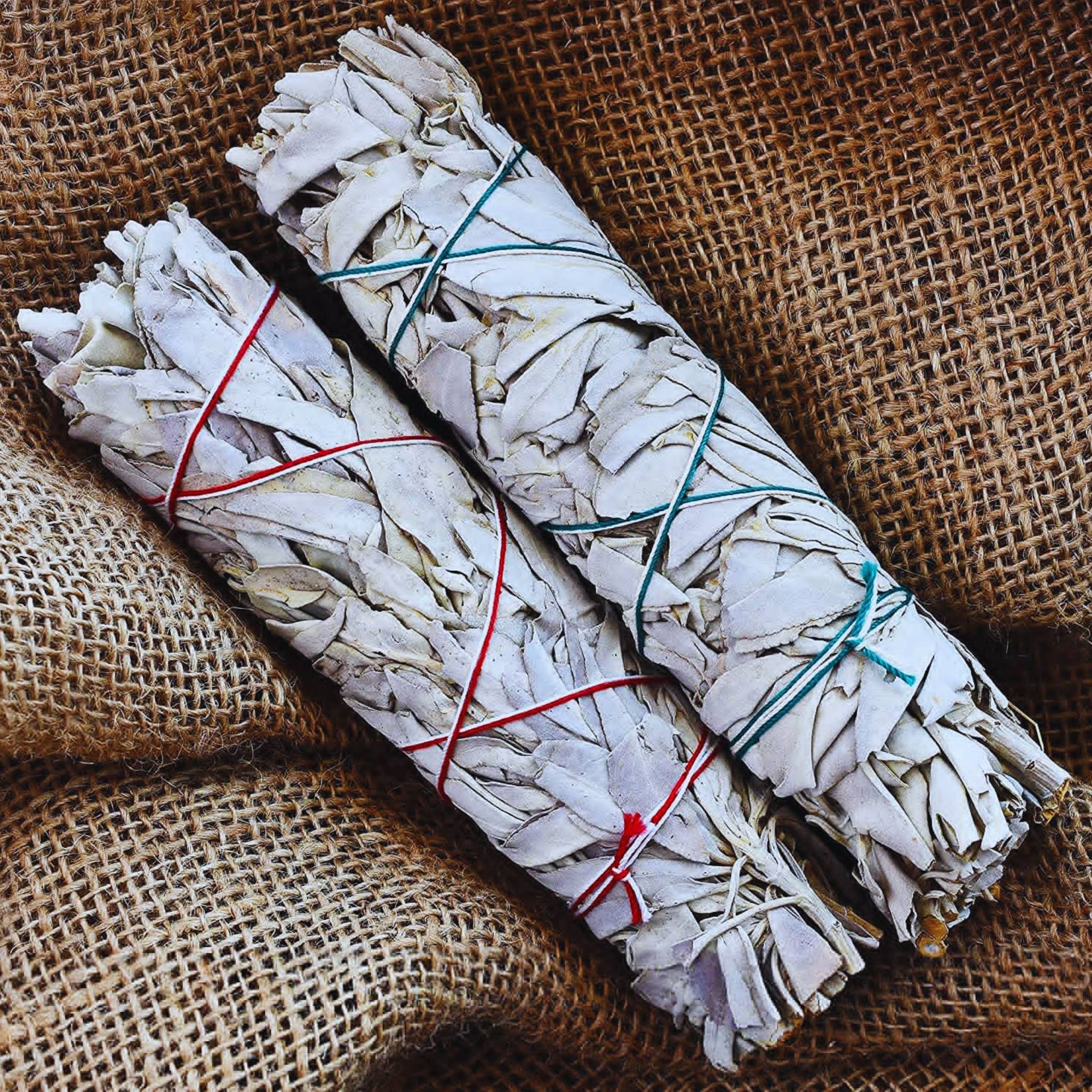 Third Eye Sage - Venta al por mayor Salvia - Paquete de barritas para difuminar California White Sage de 6 pulgadas4