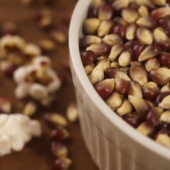 Seven Forks Farm - Wholesale Popcorn - Purple Popcorn 30oz. Bag1