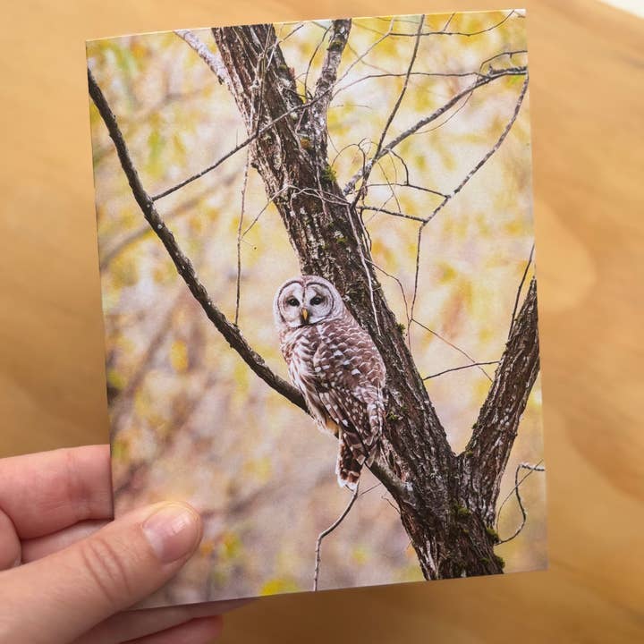 Andrea Morris Art - Wholesale Stationery/Notecard Set - Fall Card Variety Pack (5 Different Cards + Envelopes)3