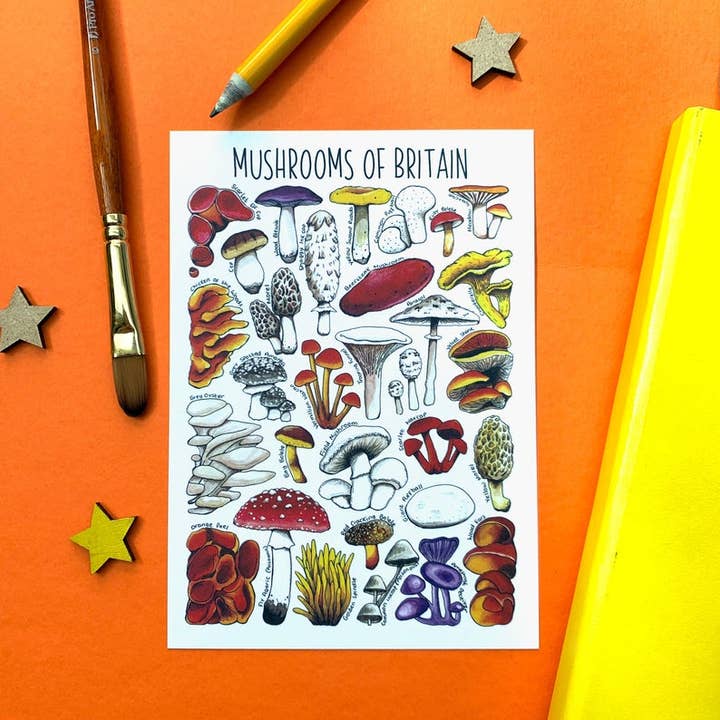 Mushrooms of Britain Art Blank Postcard for wholesale by Alexia Claire Ltd