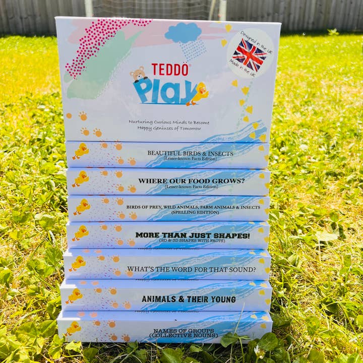 Teddo Play – Großhandel Lernkarten – Kind & Baby – MiniS - Wunderschöne Vögel & Insekten Fakten für Kinder Reisepack4