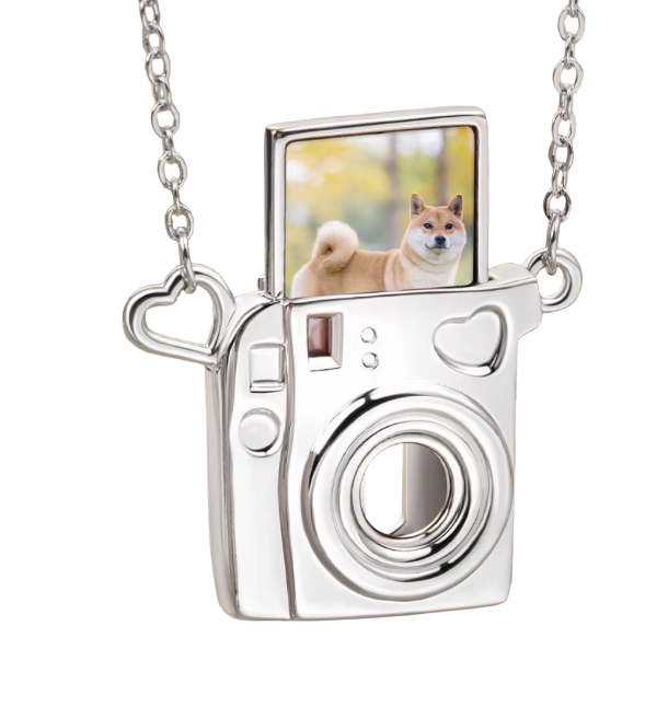 HoopLa - Vente Colliers à pendentif - Collier en acier doré 14K avec appareil photo Polaroid3