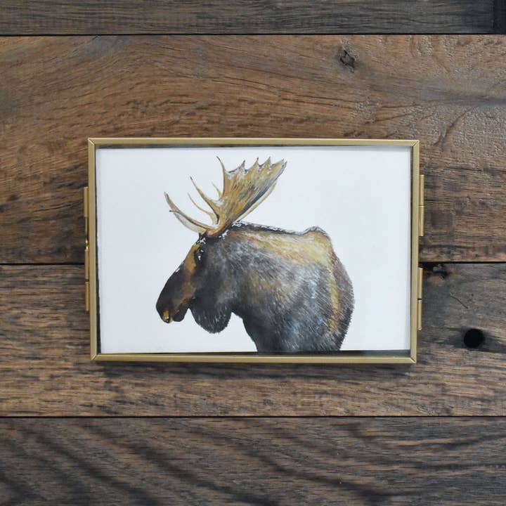 Moose 4x6 Watercolor Print for wholesale by Hadley Richards Designs