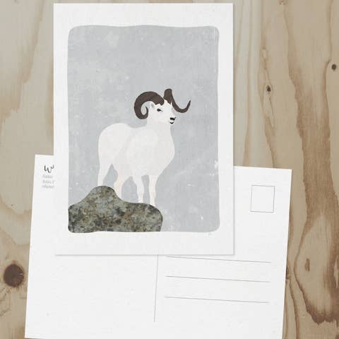 Wren and the Raven - Wholesale Postcard - Alaska Wildlife Series Postcards12