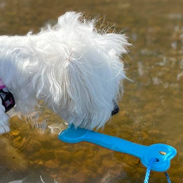 FINNERO - Wholesale Pet Toy - Dog - FINNERO WAVE Floating Dog Toy, Made in Finland, 2 sizes8