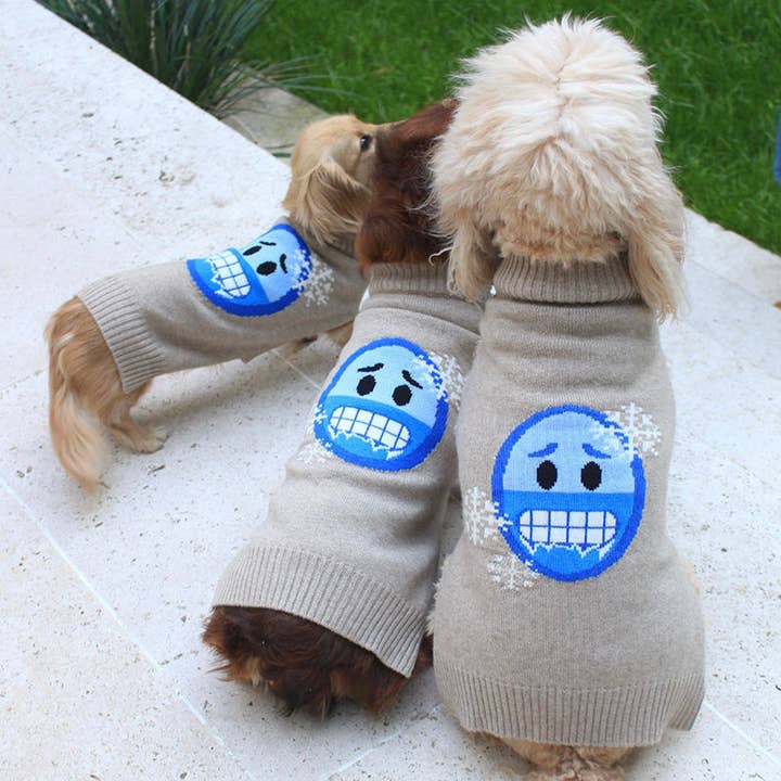 FROID pour la vente par Canine Cashmere