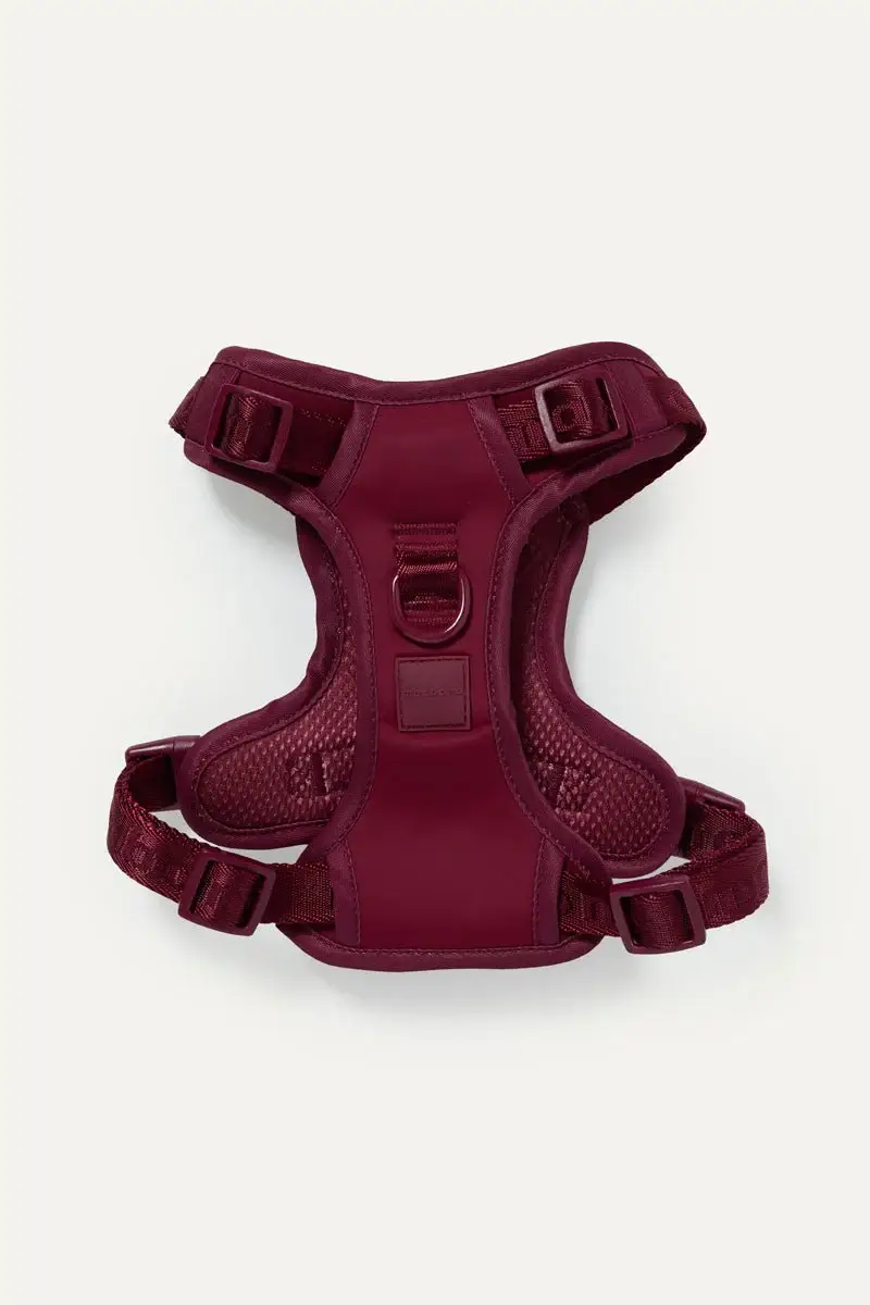 maxbone - Wholesale Pet Harness - Dog - Easy Fit Dog Harness15