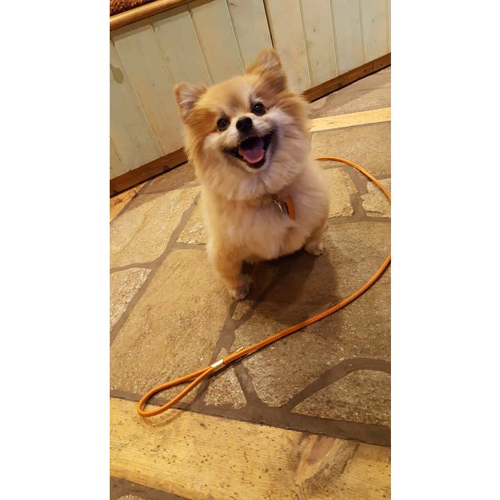 Alpen Schatz – Großhandel Haustiergeschirr – Hund – La Cinopelca weiche Kalbsleder-Geschirre für kleine Hunde17