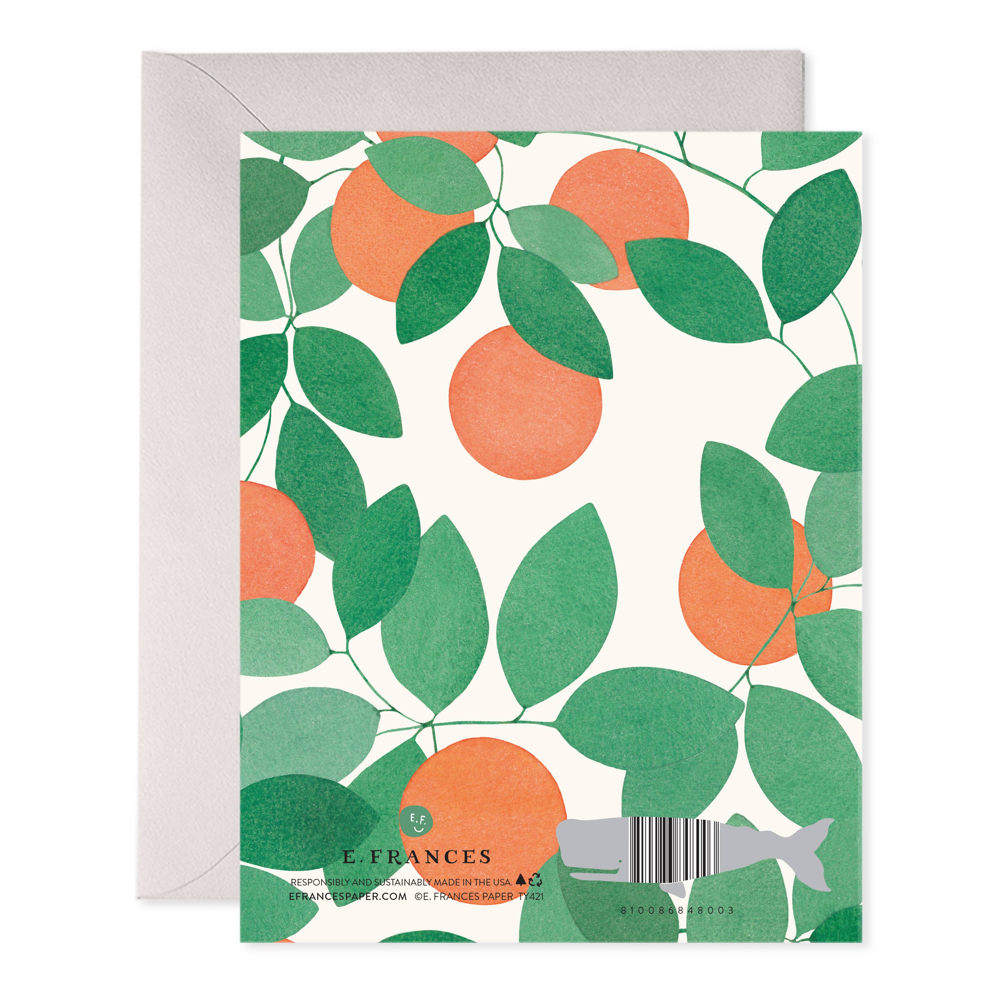 E. Frances Paper - Wholesale Thank You Card - Orange Grove Thank You Greeting Card1