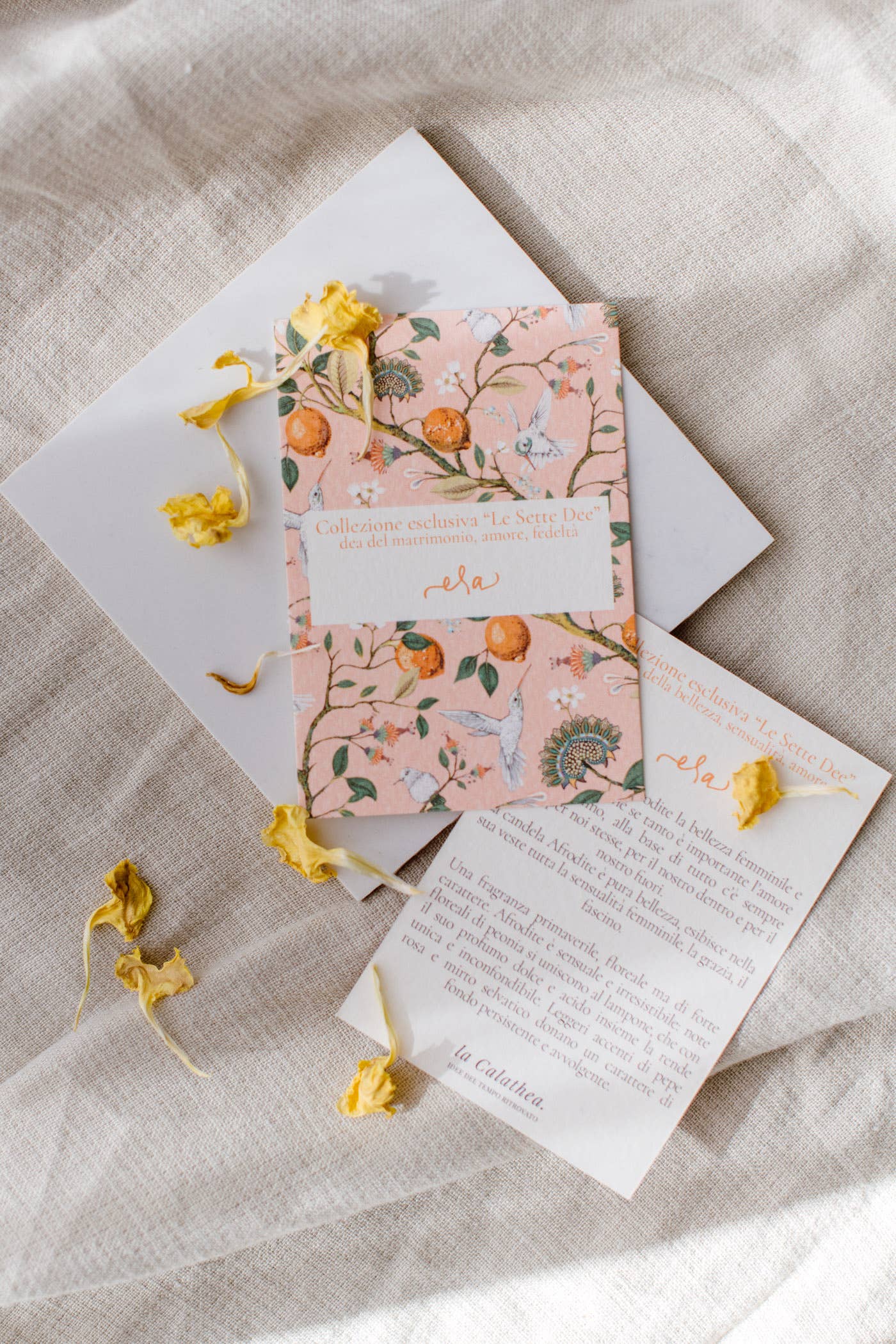 La Calathea - Wholesale Jar/Filled Candle - Candela Era4