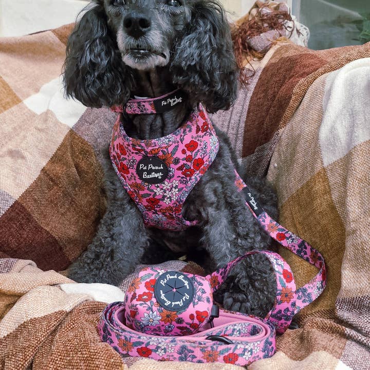 Pet Pooch Boutique - Wholesale Pet Harness - Dog - Berry Blossom Floral Puppy Dog Harness2