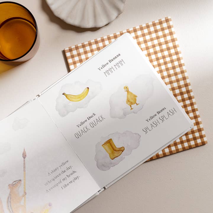 Paige Tate & Co. - Wholesale Baby & Toddler Book (0-2) - Wishy Washy: A Board Book of First Words and Colors1