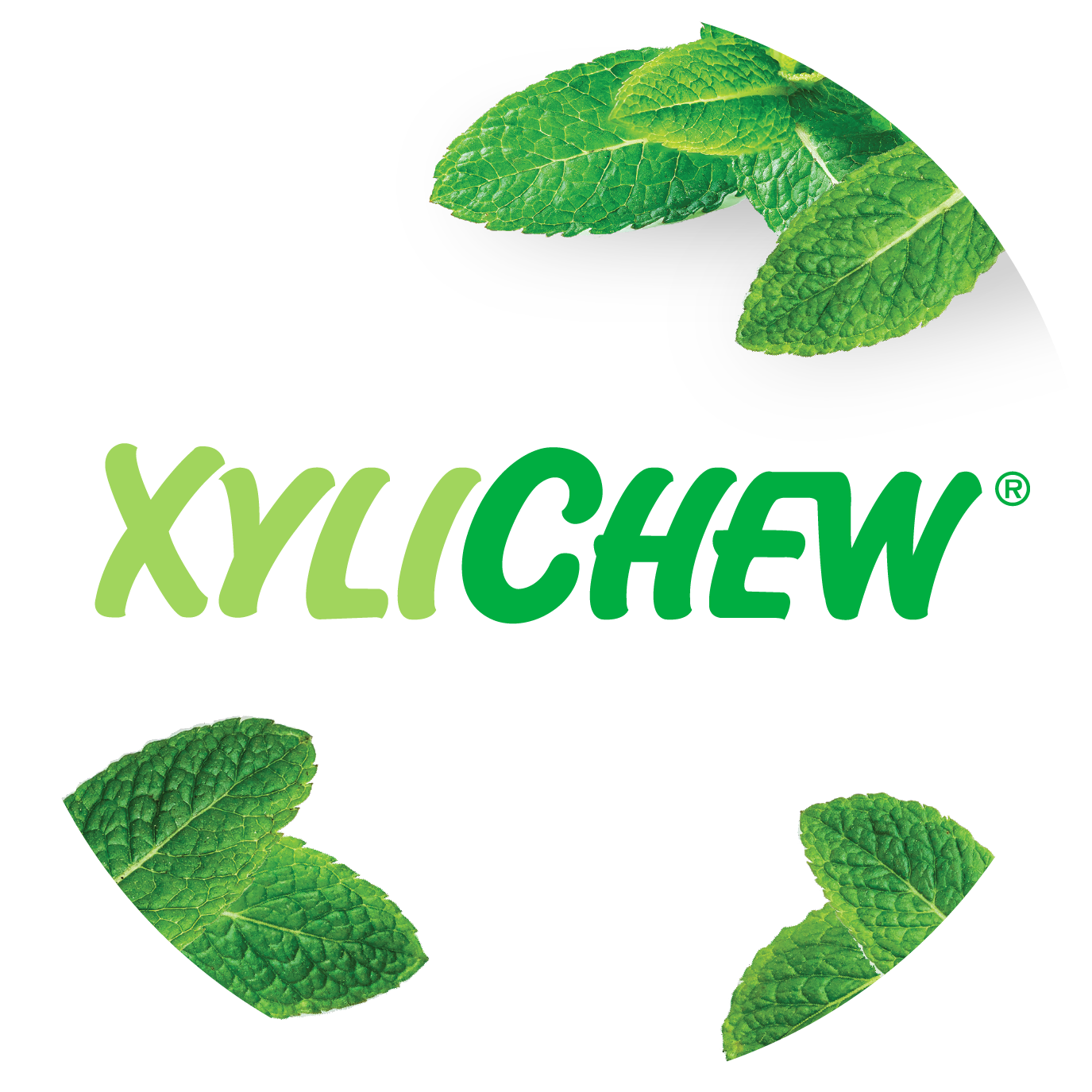 Xylichew Xylitol Gum - Ice Mint - Sugar Free - The Best Chewing Gum