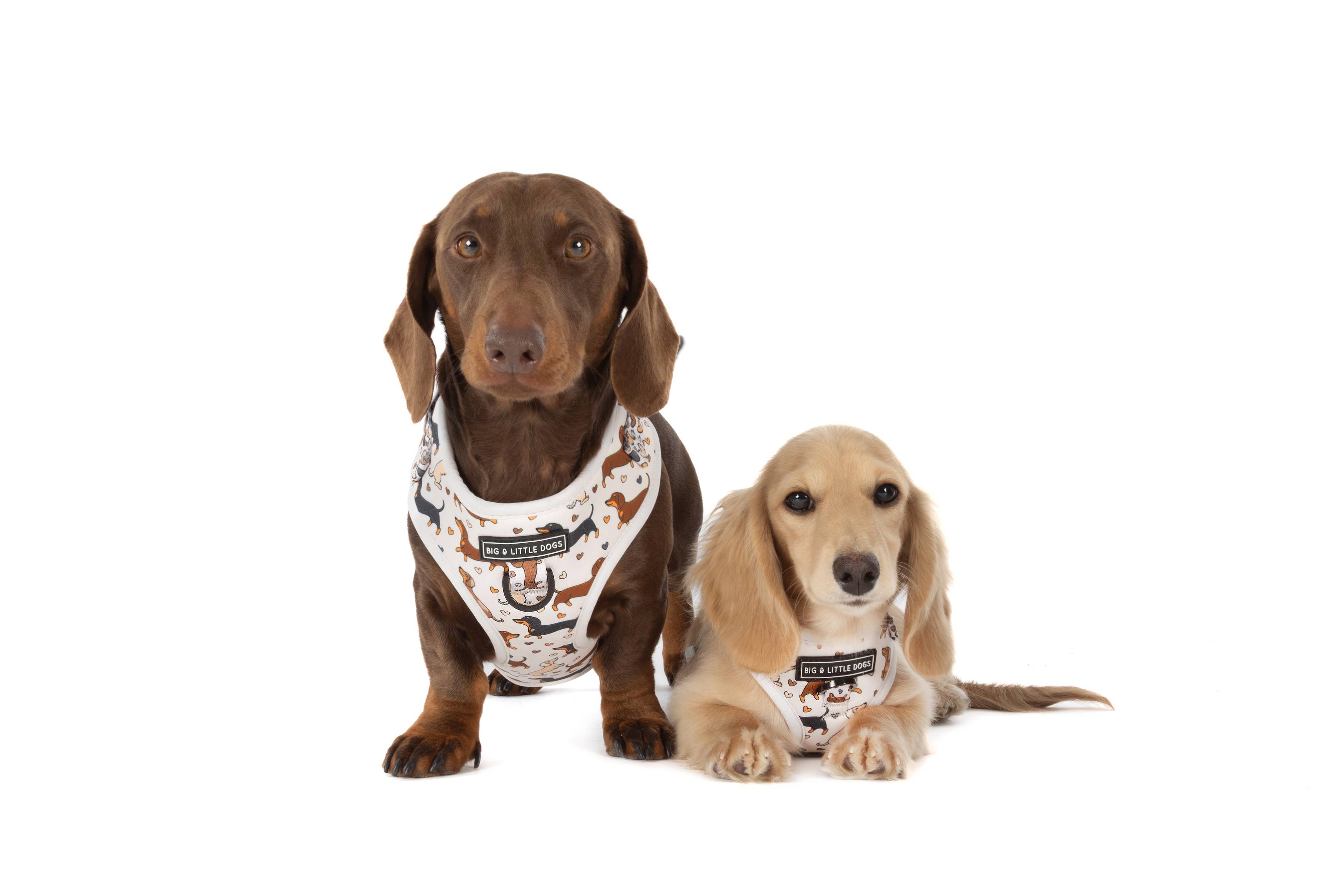 Big and Little Dogs - Wholesale Pet Harness - Dog - ADJUSTABLE DOG HARNESS: Dashie Lovers4