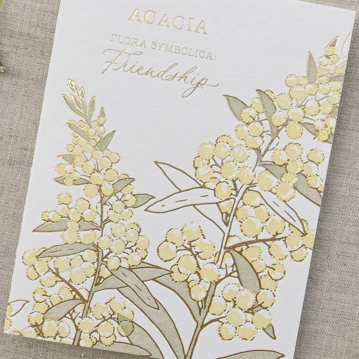 Acacia | Language of Flowers-Grußkarte für den Großhandel von Ciarra Claire