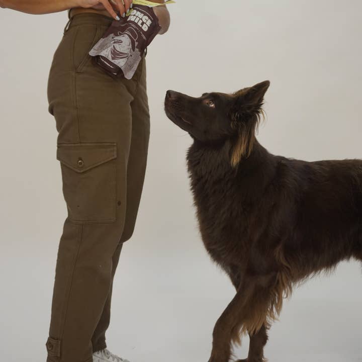 Once Wild - Wholesale Pet Treats - Dog - Bison Organ Blend Treats6