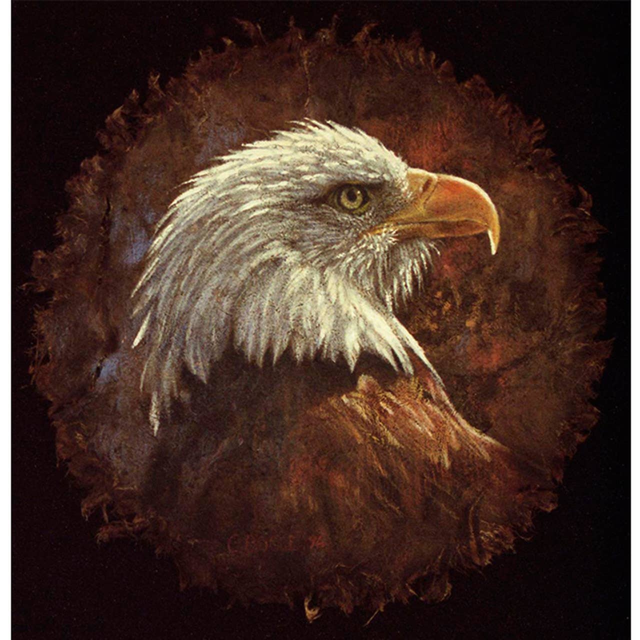 AN Commerce - Wholesale DIY Craft Kit - Eagle On Bark - DIY Painting By Numbers Kit0