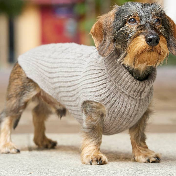 Hundestrickpullover taupe für den Großhandel von Leopold's Finest for dogs