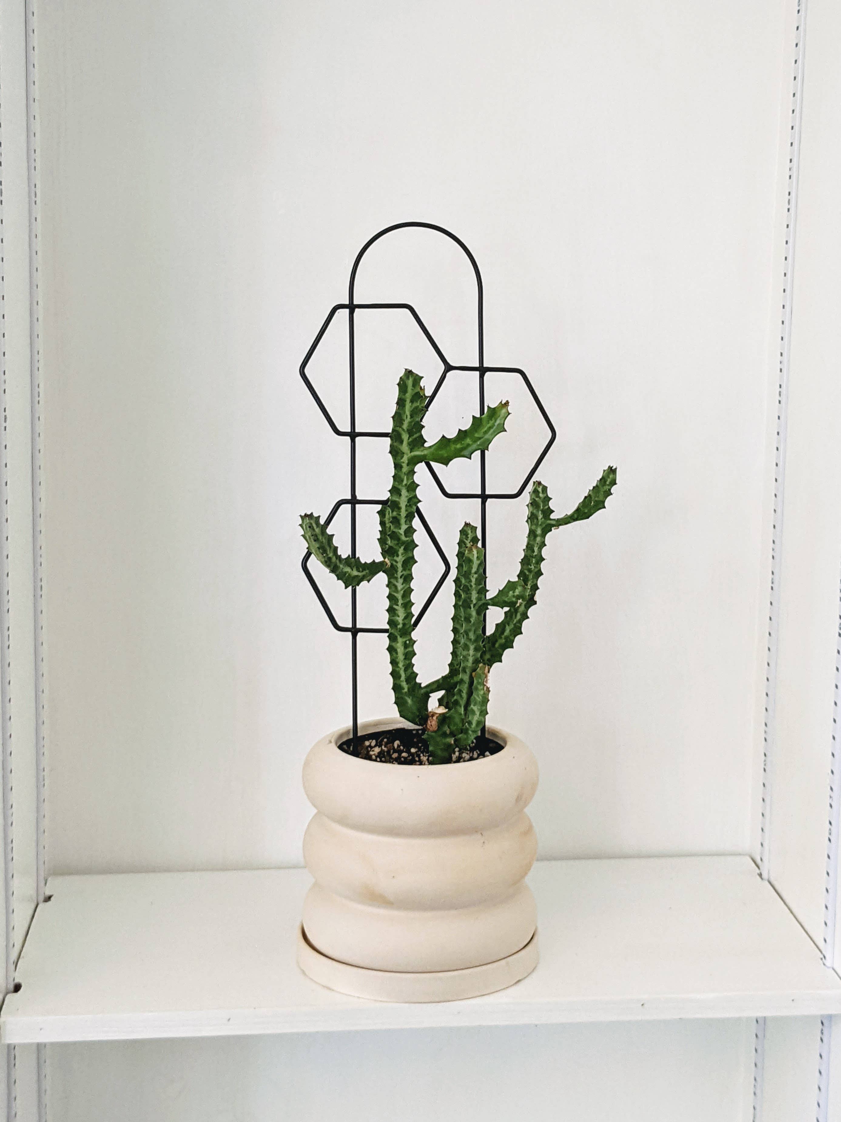 PlantsNsht - Wholesale Trellis - Metal Honeycomb Trellis