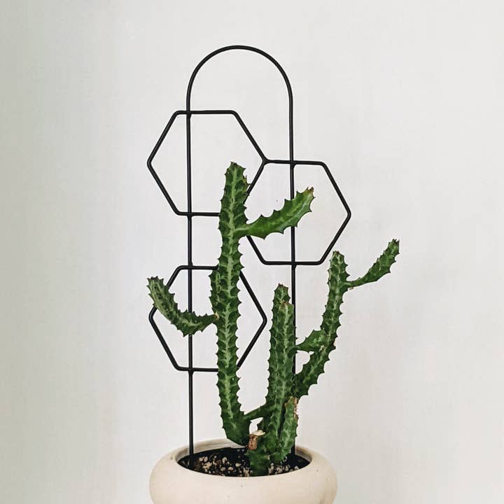 PlantsNsht - Wholesale Trellis - Metal Honeycomb Trellis0