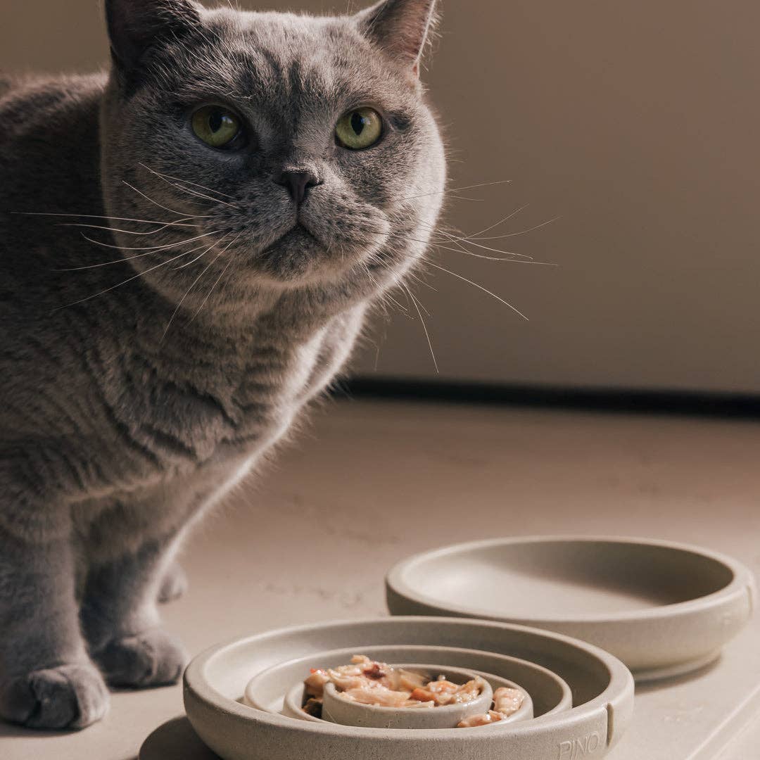 PINO - Wholesale Pet Bowl - Cat - Slow Feeder Bowl for Cats14