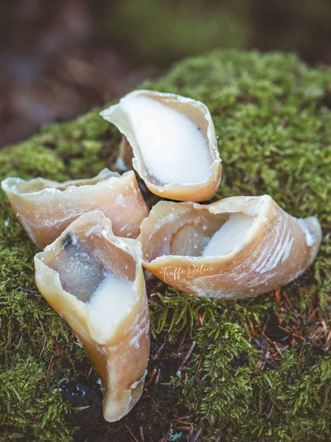 Truffe Délice - Wholesale Pet Treats - Dog - Garnished veal shank10