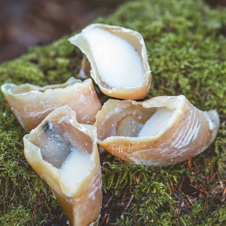 Truffe Délice - Wholesale Pet Treats - Dog - Garnished veal shank10